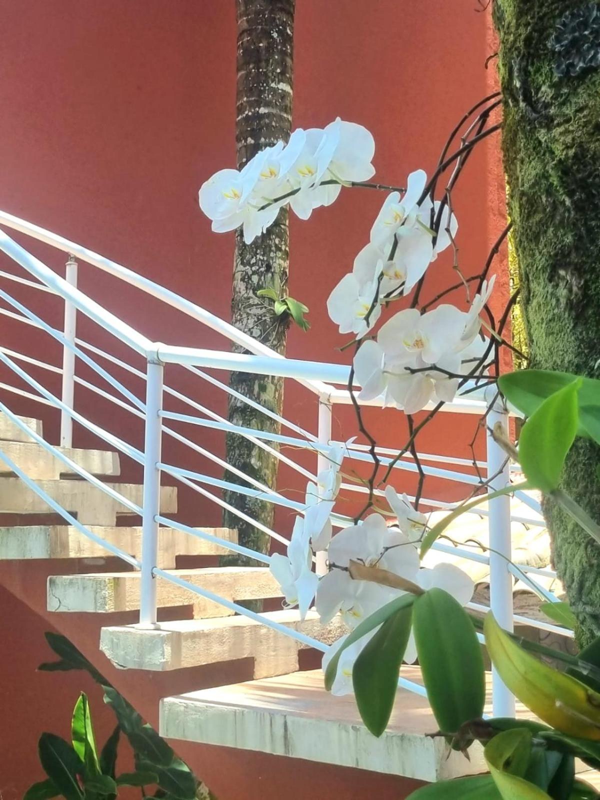 Vila Jabutis Guaruja Exterior photo